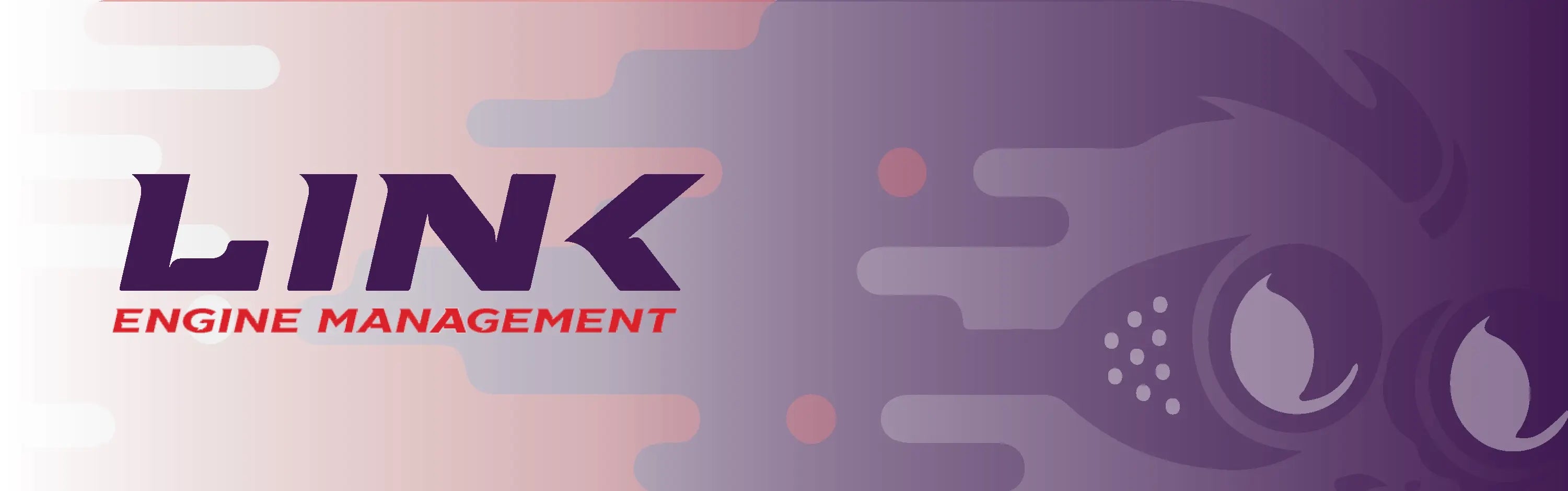 Link Engine Management | Link ECU