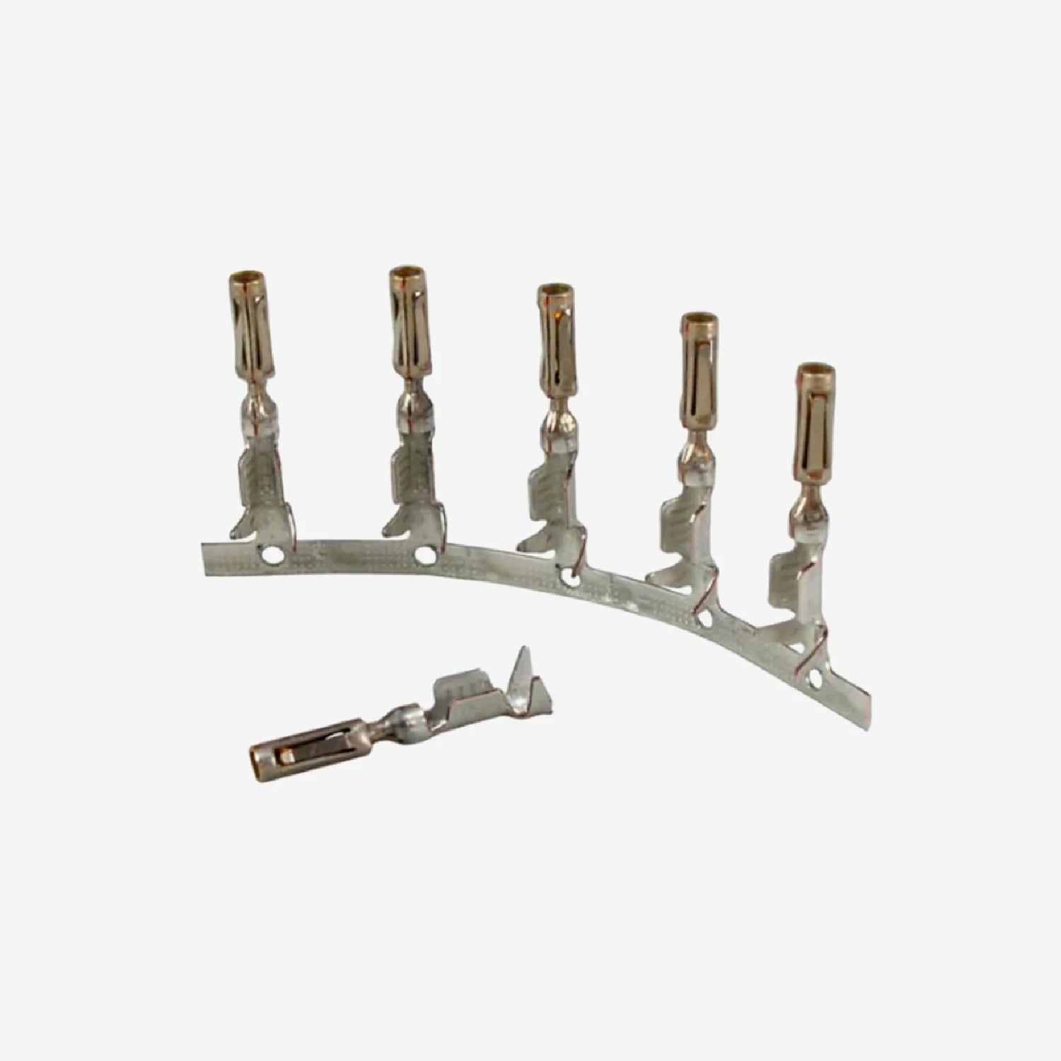 Gold Plated PDM Pin for AMP Plug - AimShop.com