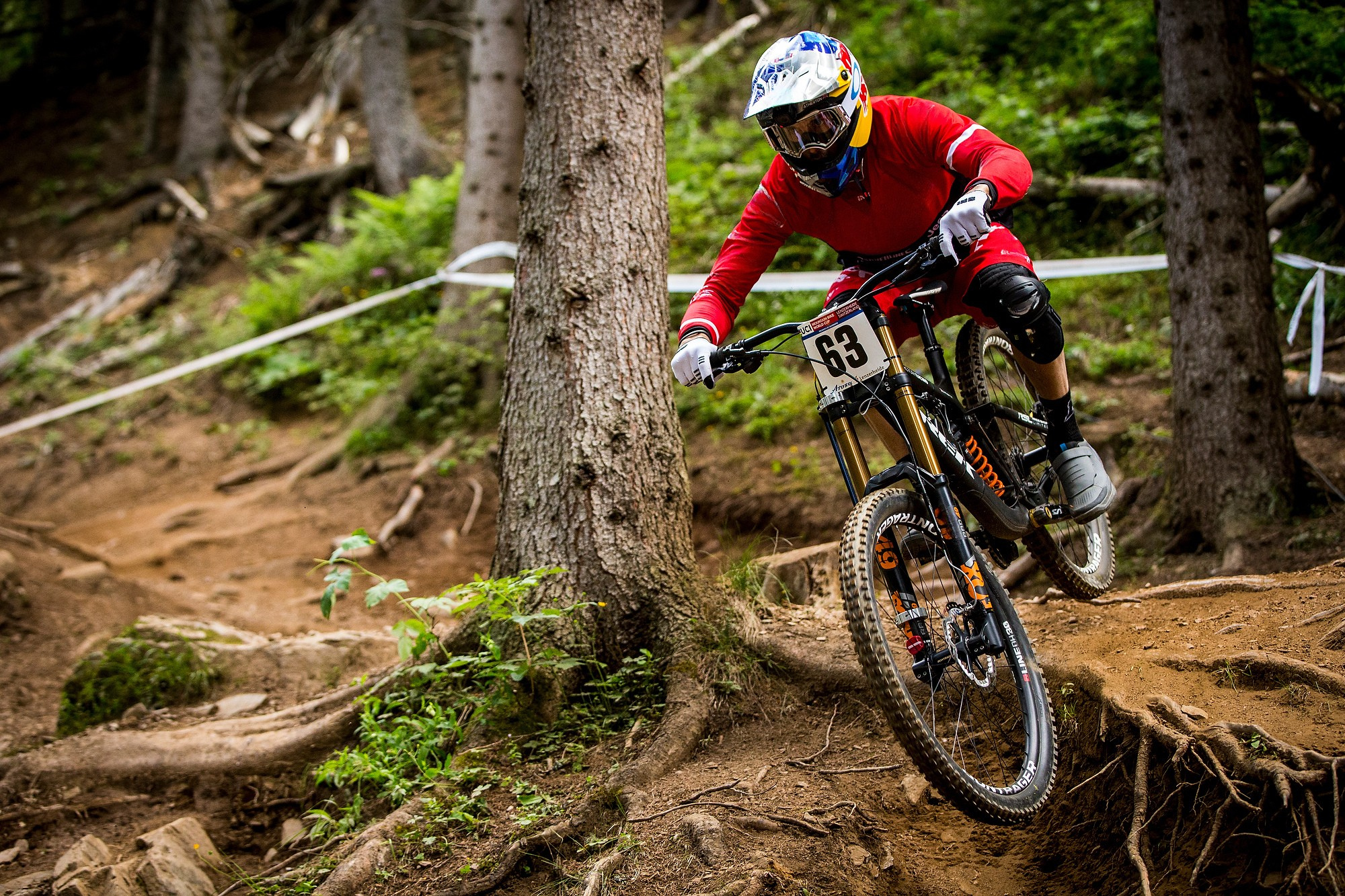 Downhill mountain bike