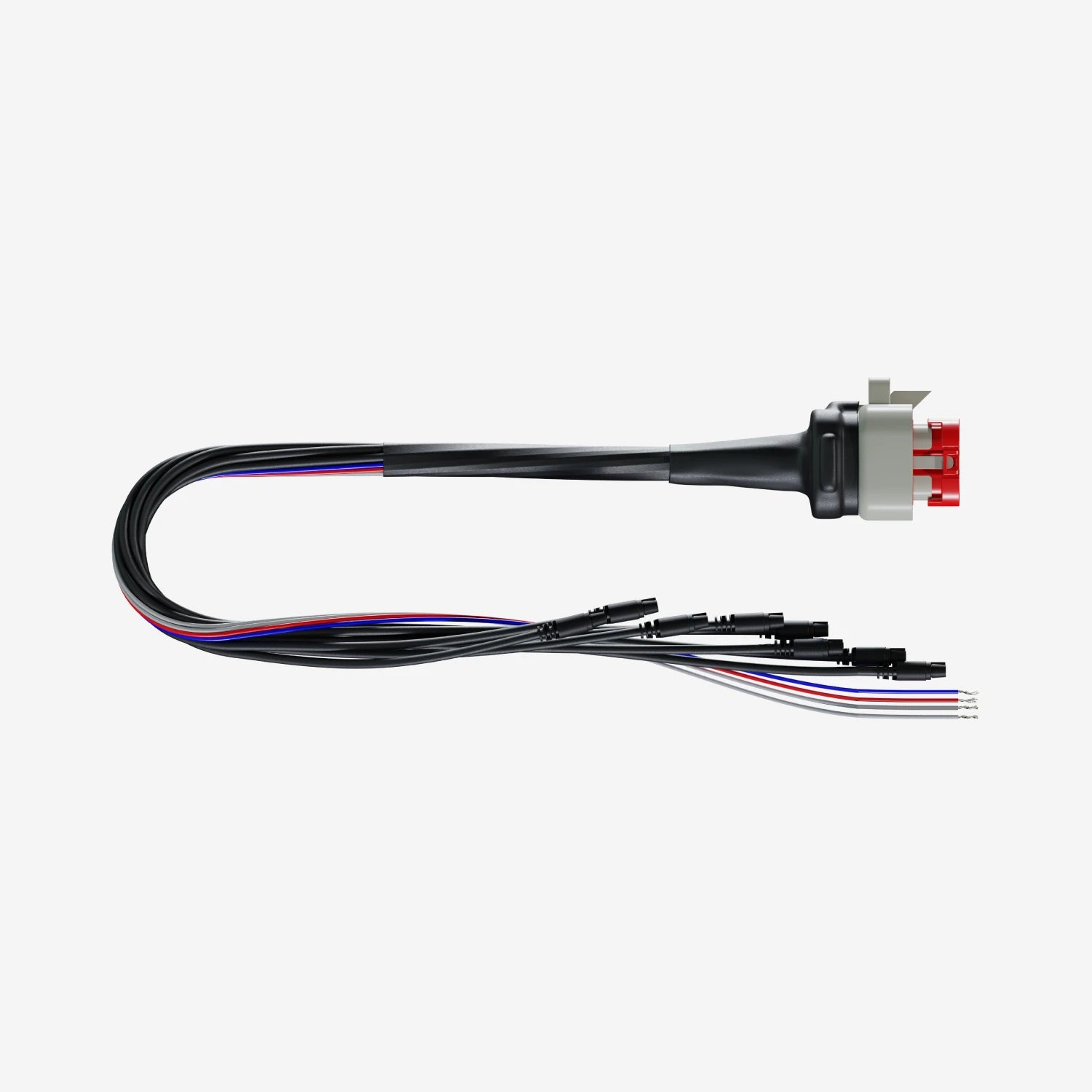 Aim 23 Pin Analogue Harness for MX Strada Series - AimShop.com