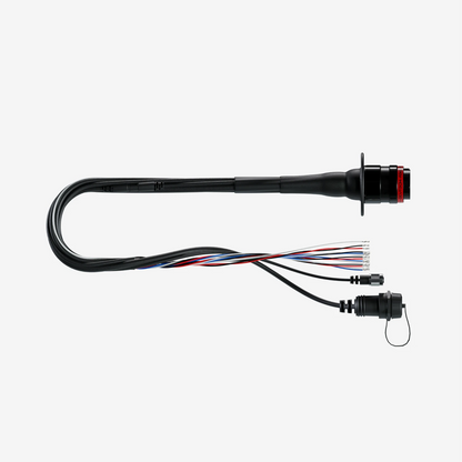 Formula Steering Wheel 4 Car Side Harness - AimShop.com